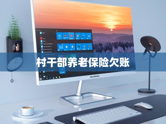 村干部养老保险欠账