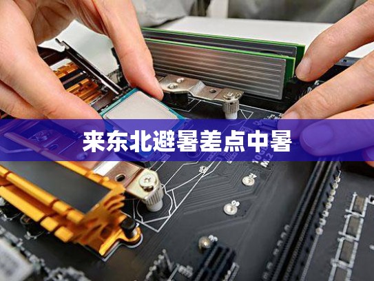 来东北避暑差点中暑