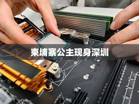 柬埔寨公主现身深圳