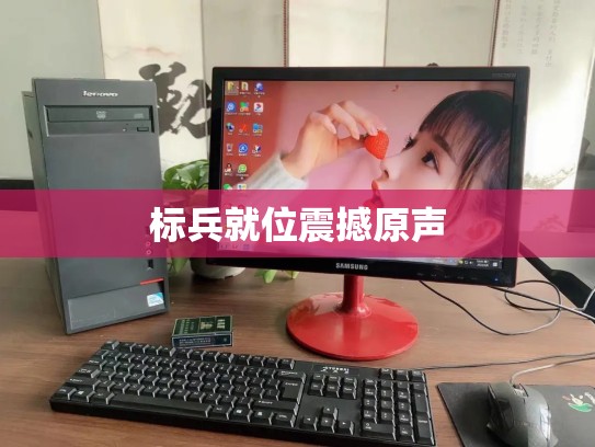 标兵就位震撼原声
