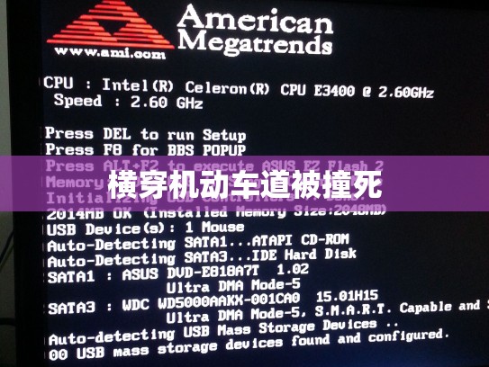 横穿机动车道被撞死