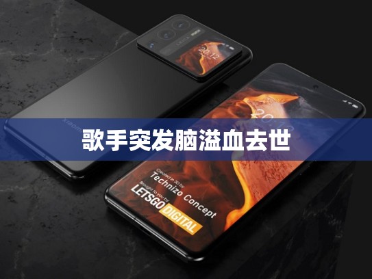 歌手突发脑溢血去世