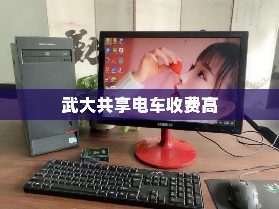 武大共享电车收费高
