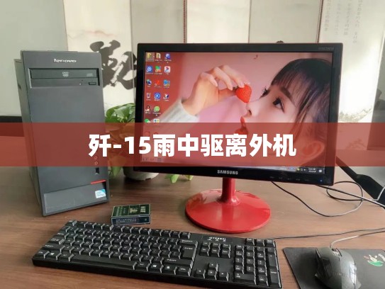 歼-15雨中驱离外机