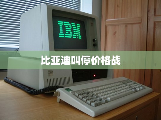 比亚迪叫停价格战