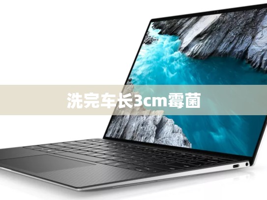 洗完车长3cm霉菌