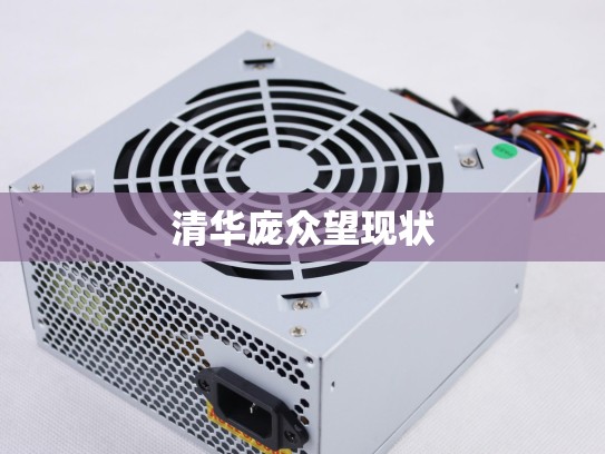 清华庞众望现状