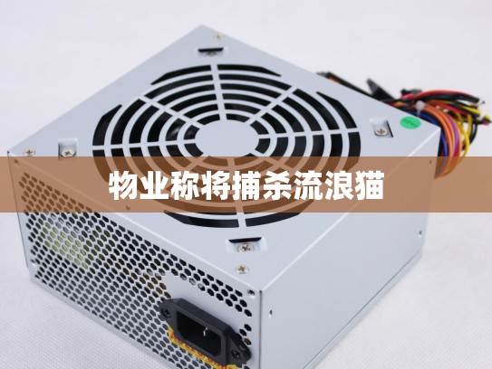 物业称将捕杀流浪猫