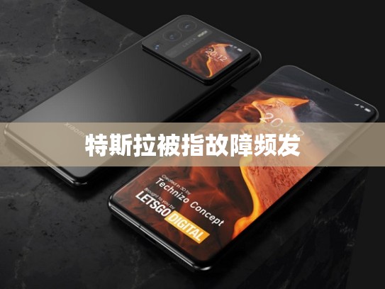 特斯拉被指故障频发