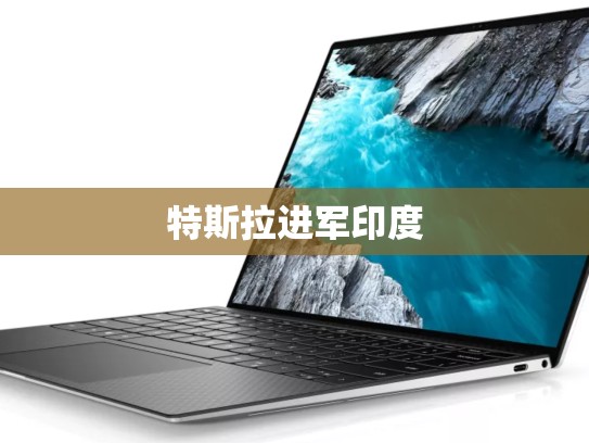 特斯拉进军印度
