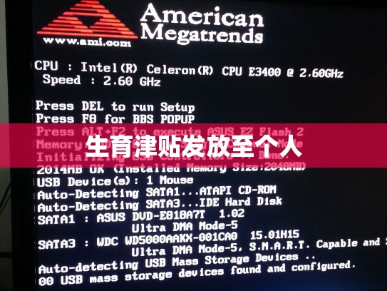 生育津贴发放至个人
