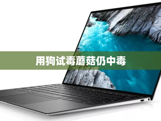 用狗试毒蘑菇仍中毒