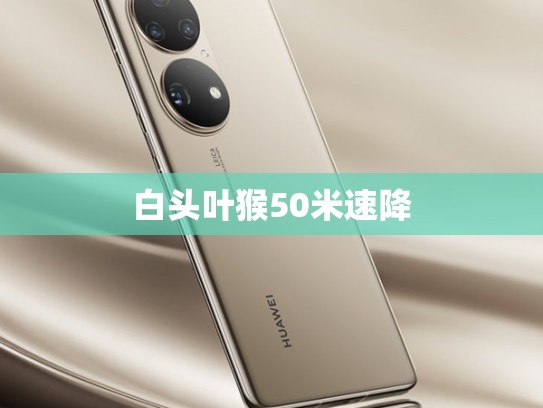 白头叶猴50米速降