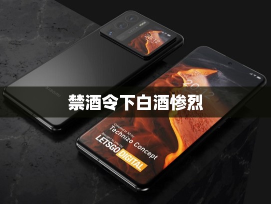 禁酒令下白酒惨烈
