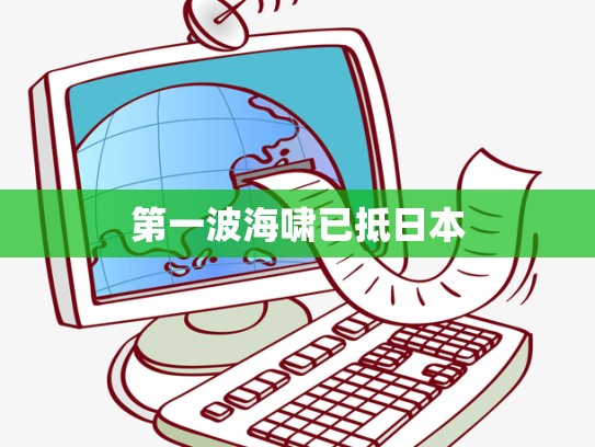 第一波海啸已抵日本
