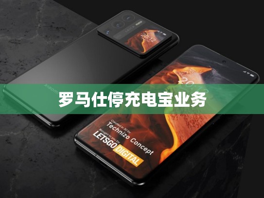 罗马仕停充电宝业务