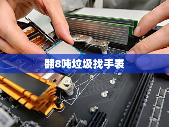 翻8吨垃圾找手表