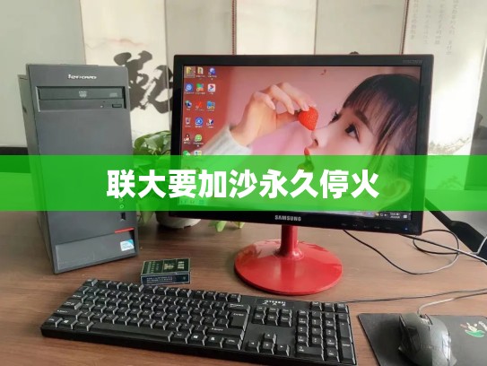 联大要加沙永久停火