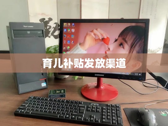 育儿补贴发放渠道