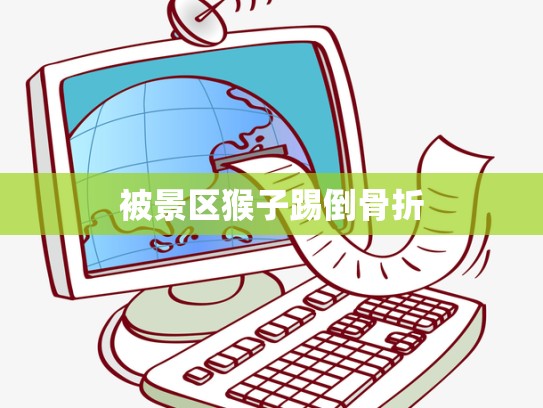 被景区猴子踢倒骨折
