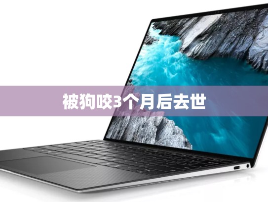 被狗咬3个月后去世