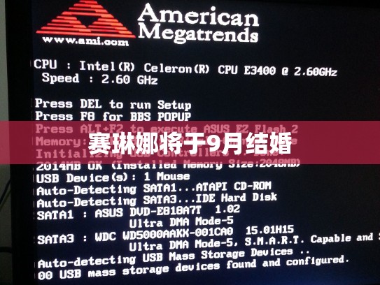 赛琳娜将于9月结婚