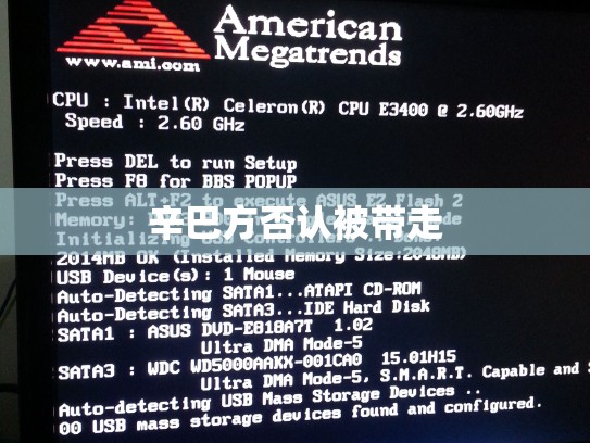 辛巴方否认被带走