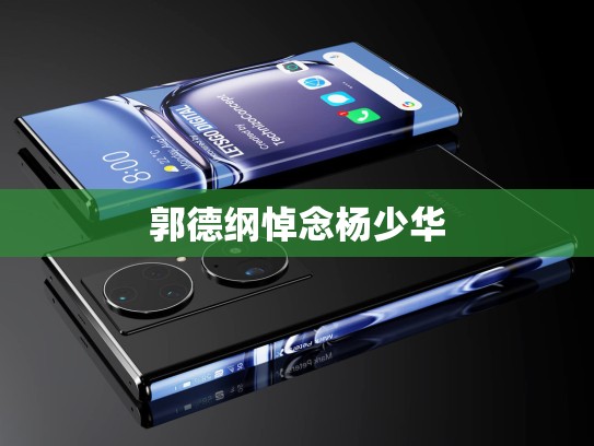 郭德纲悼念杨少华
