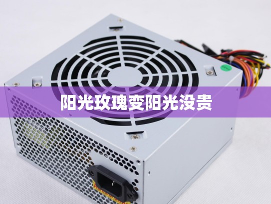 阳光玫瑰变阳光没贵