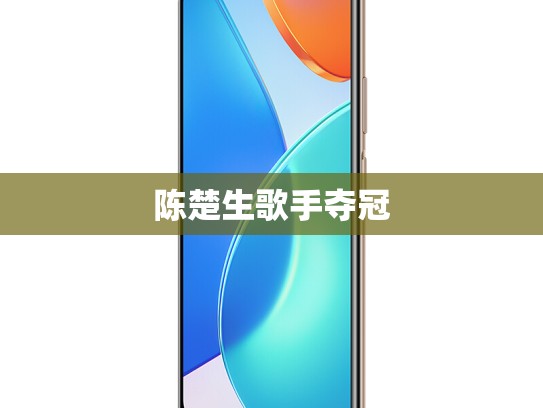 陈楚生歌手夺冠