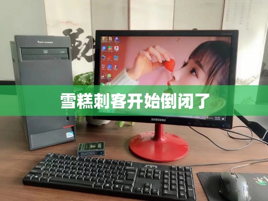 雪糕刺客开始倒闭了