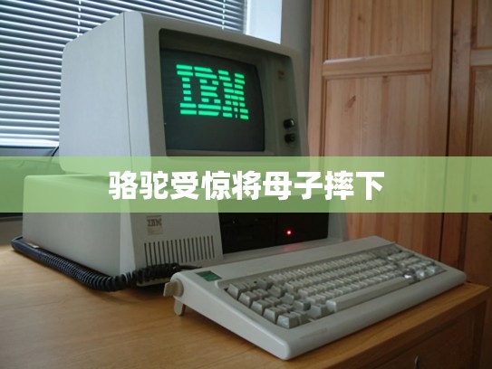 骆驼受惊将母子摔下