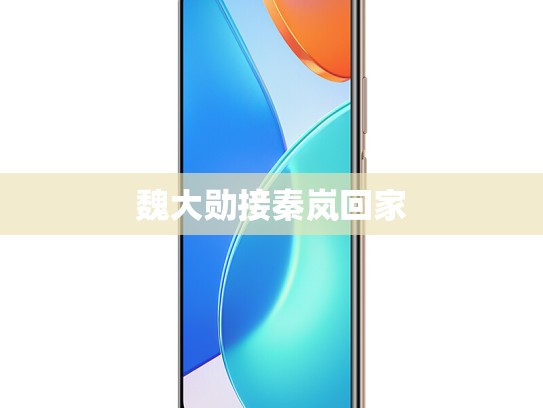 魏大勋接秦岚回家