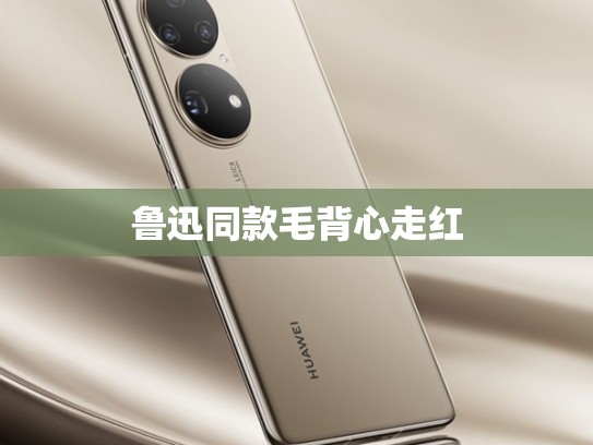 鲁迅同款毛背心走红