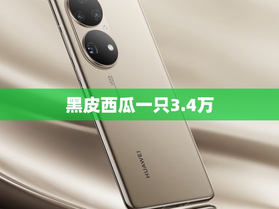 黑皮西瓜一只3.4万