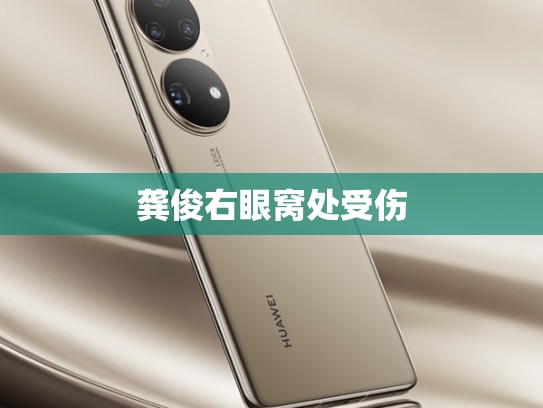 龚俊右眼窝处受伤
