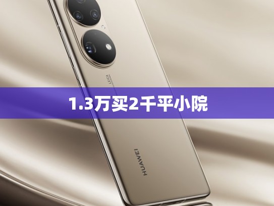 1.3万买2千平小院