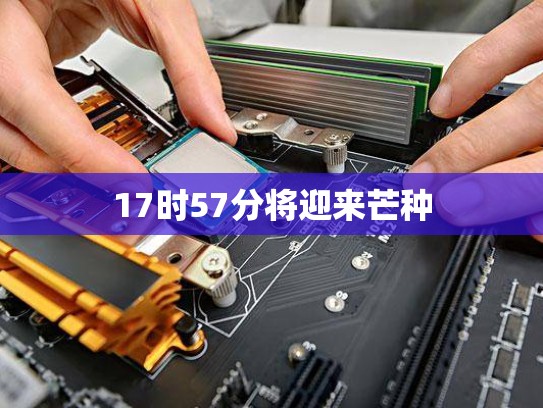 17时57分将迎来芒种