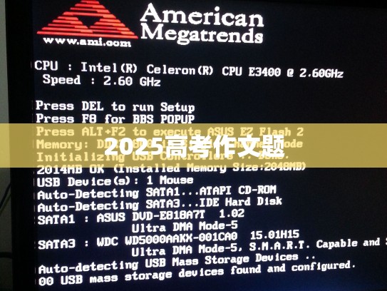 2025高考作文题