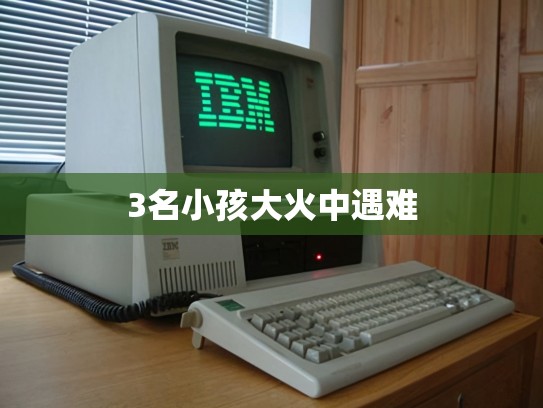 3名小孩大火中遇难