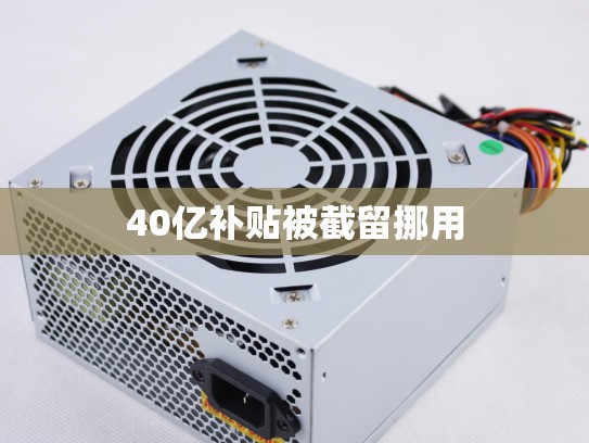 40亿补贴被截留挪用