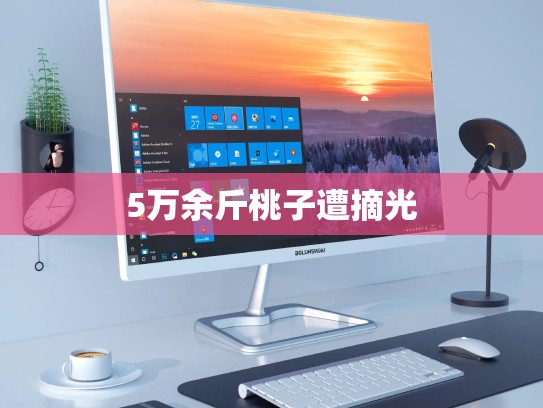 5万余斤桃子遭摘光