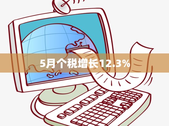 5月个税增长12.3%