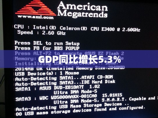 GDP同比增长5.3%